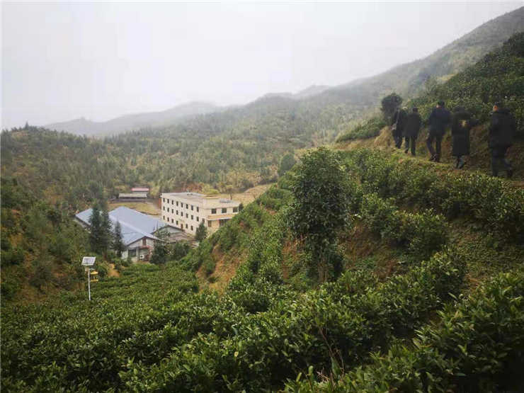 9888��˹ά��˹(�ɷ�)���޹�˾-�ٷ���վ