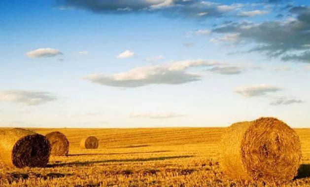 9888��˹ά��˹(�ɷ�)���޹�˾-�ٷ���վ