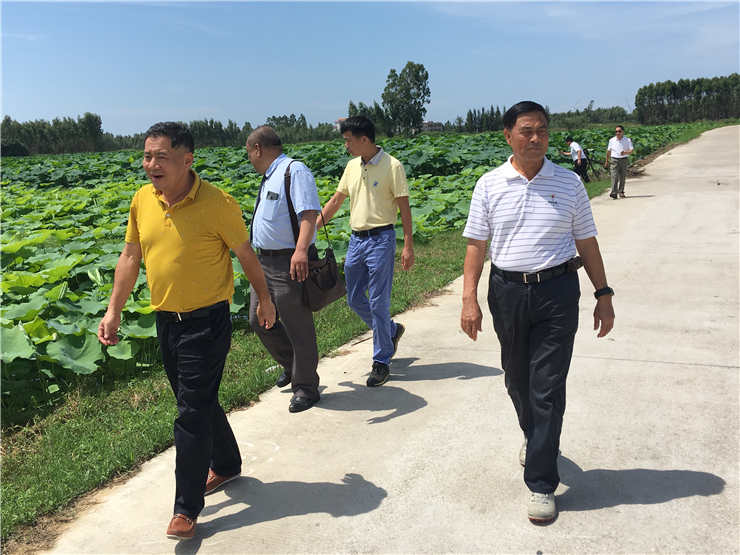 9888��˹ά��˹(�ɷ�)���޹�˾-�ٷ���վ