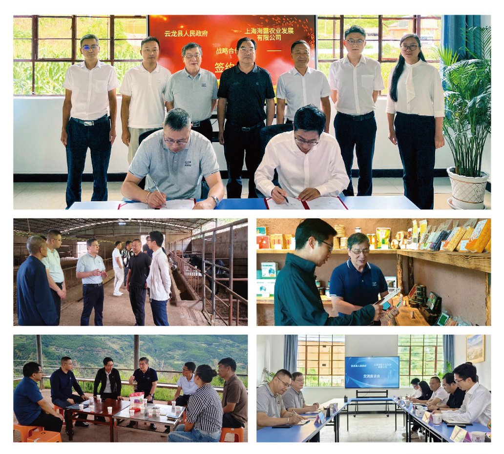 9888��˹ά��˹(�ɷ�)���޹�˾-�ٷ���վ