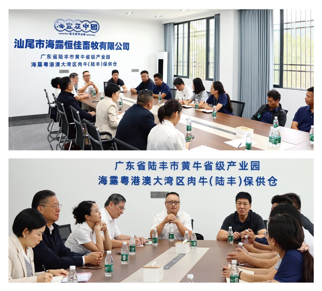 9888��˹ά��˹(�ɷ�)���޹�˾-�ٷ���վ